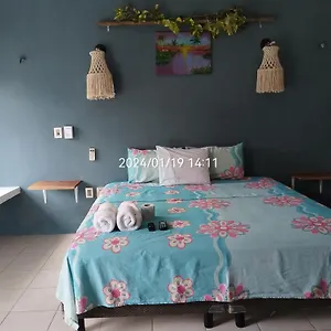 https://villa-akbal-con-piscina-privada.quintano-roohotels.com